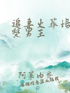 追妻火葬场虐文双男主