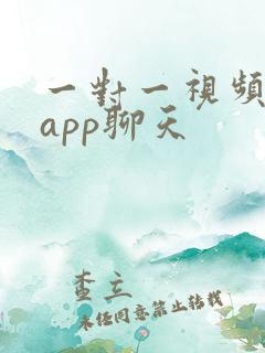 一对一视频交友app聊天