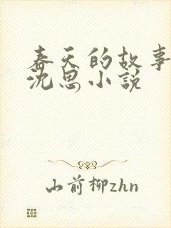 春天的故事李兵沈思小说