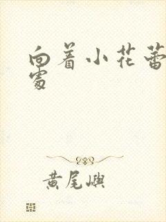 向着小花蕾的深处