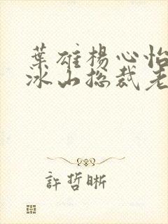 叶雄杨心怡我的冰山总裁老婆