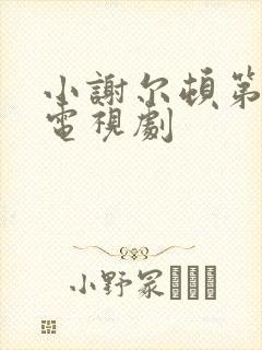 小谢尔顿第五季电视剧