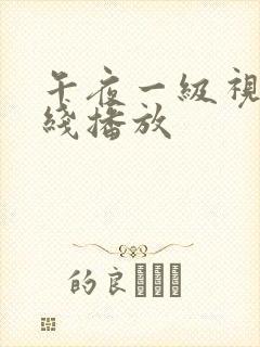 午夜一级视频在线播放