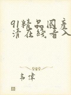 91精品国产高清在线看入口