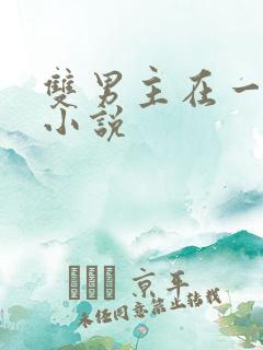 双男主在一起的小说