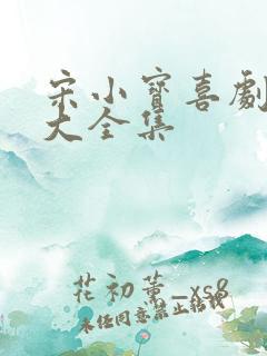 宋小宝喜剧小品大全集