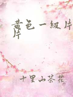 黄色一级片伦理片