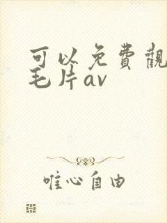 可以免费观看的毛片av