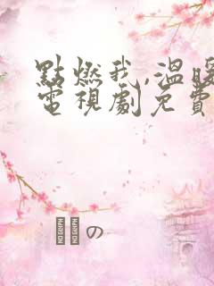 点燃我,温暖你电视剧免费完整版