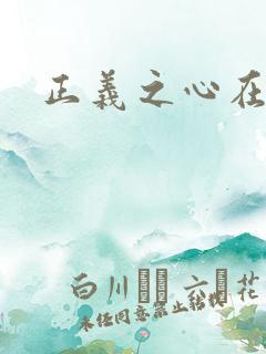 正义之心在线看