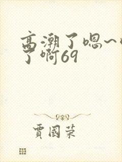 高潮了嗯~喷水了啊69