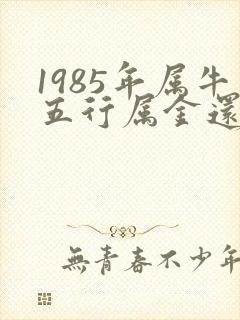 1985年属牛五行属金还是木