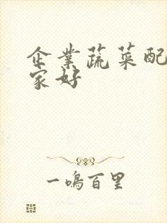 企业蔬菜配送哪家好