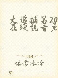 大追捕第20集在线观看免费