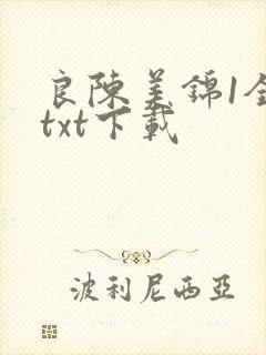 良陈美锦1全文txt下载