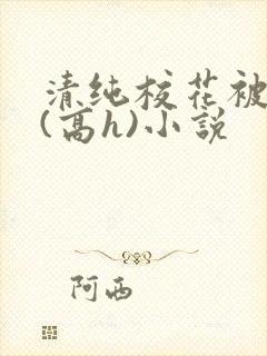 清纯校花被调教(高h)小说