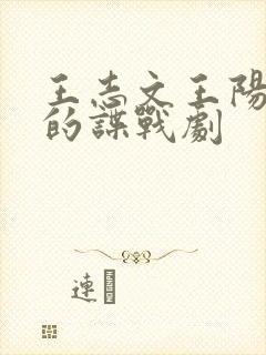 王志文王阳主演的谍战剧