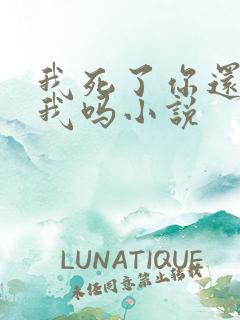 我死了你还会恨我吗小说