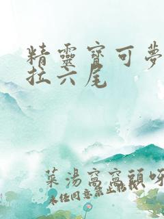 精灵宝可梦阿罗拉六尾