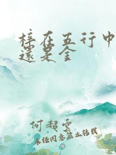 梓在五行中属木还是金