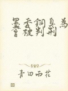 墨香铜臭为什么会被判刑