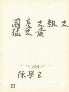 国产又粗又爽又猛又黄