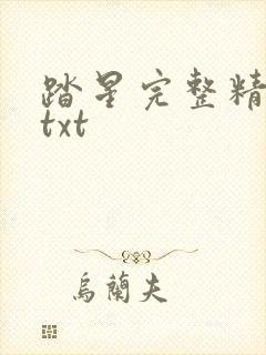 踏星完整精校版txt