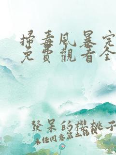 扫毒风暴完整版免费观看全集高清