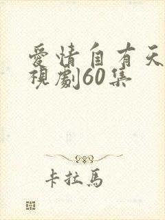 爱情自有天意电视剧60集