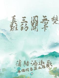 真三国无双5最难的关卡