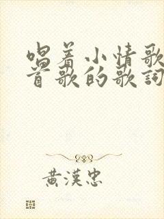 唱着小情歌是哪首歌的歌词