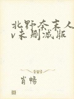 北野奈末人妻av未删减版