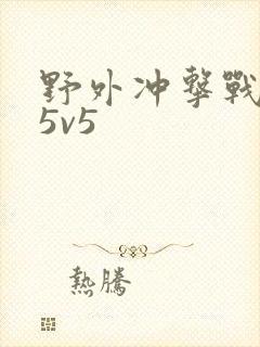 野外冲击战游戏5v5