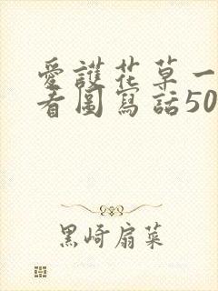 爱护花草一年级看图写话50字