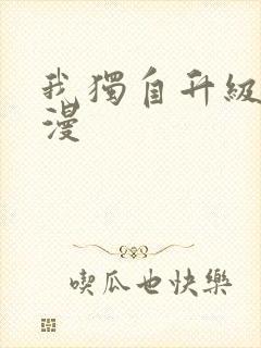 我独自升级 动漫