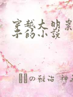 穿越大明崇祯儿子的小说