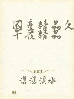 国产精品久久久午夜精品