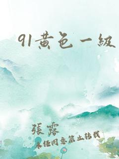 91黄色一级片