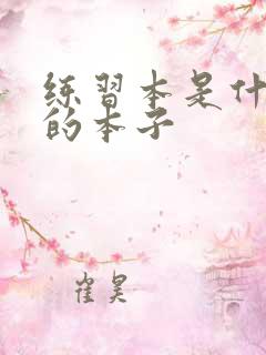 练习本是什么样的本子