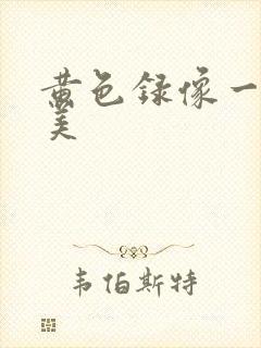 黄色录像一级欧美