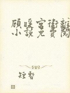 顾暖宫卫离穿越小说免费阅读