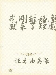 我刚离婚,系统就来了短剧在线观看