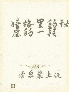 暗格里的秘密最虐的一段