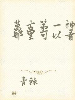 万古第一神小说那里可以看