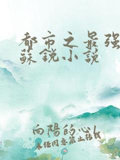 都市之最强狂兵苏锐小说