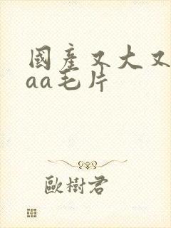 国产又大又爽aaa毛片