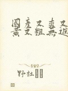 国产又爽又爽又黄又粗无遮挡