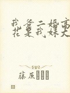 我爸二婚高冷校花是我妹大姐扮演者