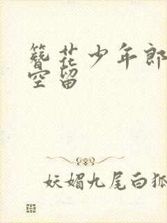 簪花少年郎作者空留