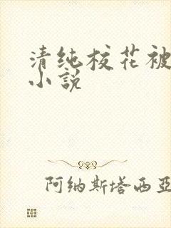 清纯校花被日常小说